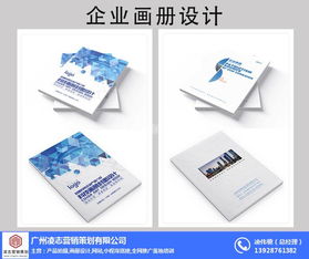 凌志营销策划 专业企业画册设计与软件开发服务